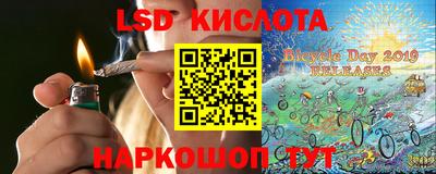 крисы Гагарин